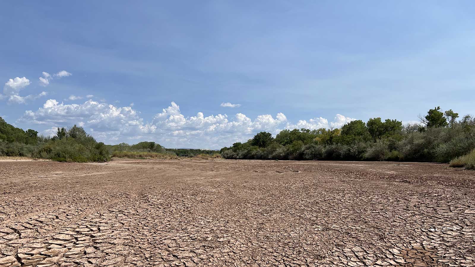 UNM researchers tackle drought impacts through national conservation grant